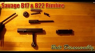 Savage B17 amp B22 Bolt Disassembly amp Reassembly [upl. by Corie]