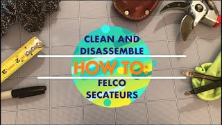 How To Clean and Disassemble Felco Secateurs [upl. by Eatnom]