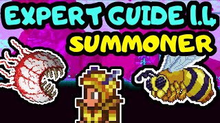 TERRARIA SUMMONER PROGRESSION GUIDE 3 TERRARIA 14 EXPERT BEE QUEEN GUIDE EYE OF CTHULHU GUIDE [upl. by Arlette174]