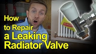 HOW TO REPAIR A LEAKING RADIATOR VALVE  Plumbing Tips [upl. by Eal]