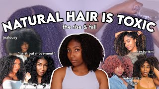 The RISE and FALL of the Natural Hair Community  Camryn Elyse [upl. by Adikram]