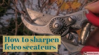 How To Sharpen felco Secateurs [upl. by Lenette]