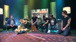 1DDay  Little Things  Live One Direction HD [upl. by Boffa117]