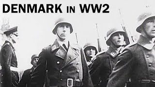 Denmark in World War 2  The Danish Resistance  Documentary Short  1944 [upl. by Nref]