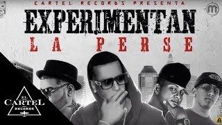 Daddy Yankee Ft Farruko Benni Benny Gotay Pusho  Experimentan La Perse Audio Oficial [upl. by Peria497]