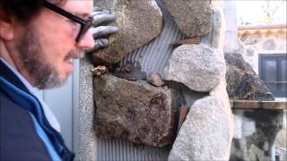 Tutorial Como revestir una pared con piedras [upl. by Carnes]