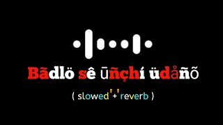 Badlo se unchi udan unki   slowed  reverb   new song [upl. by Eislel570]