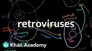 Retroviruses  Cells  MCAT  Khan Academy [upl. by Kartis842]