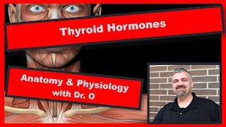 Thyroid Hormones Anatomy and Physiology [upl. by Lozano911]