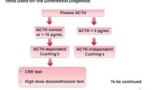 ACTH and Cortisol [upl. by Ahsieni402]