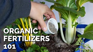 14 Organic Fertilizers and How to Use Them [upl. by Nemlaz535]