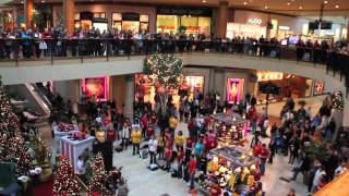 Flash Mob the best of Christmas 2011  Flash Mob Best Of [upl. by Lertnek]