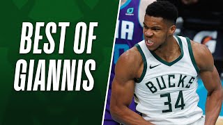 Giannis Top Plays 🦌 The Best Of The Greek Freak  202021 Season [upl. by Ehcropal377]