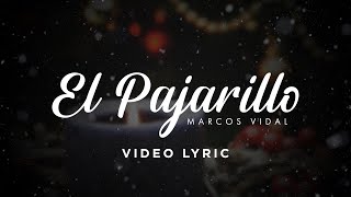 Marcos Vidal  El Pajarillo Video Lyric [upl. by Neff243]