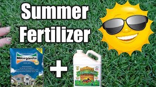 Best Summer Fertilizer for Lawns [upl. by Lamiv]