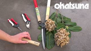 How to sharpen your Okatsune pruners [upl. by Elbag]