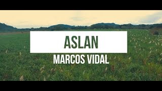 Marcos Vidal  Aslan Video Lyrics Oficial [upl. by Goody]