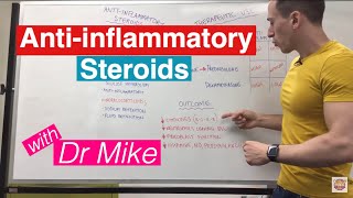 Antiinflammatory Steroids [upl. by Yeniar]