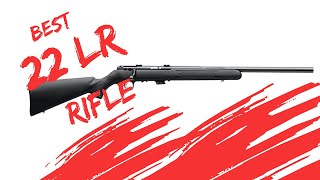 Savage Mark II 22 LR Review  Incredible Accuracy [upl. by Ludewig308]