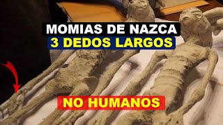 Momias de Nazca Parte 1 [upl. by Malti]