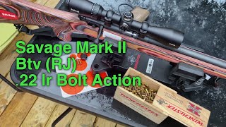 Savage Mk II BTV 22 lr bolt action  Bushnell Legend scope build and review [upl. by Gisser451]