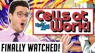 Real Doctor Reacts to CELLS AT WORK Hataraku Saibō [upl. by Cathyleen]