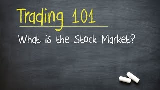 Trading 101 What is the Stock Market [upl. by Leiso766]