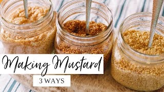 🌭 How to Make Homemade Mustard 🌭  EASY With Three Different Recipes [upl. by Marji]