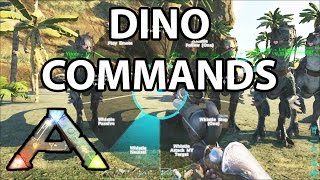 Dino Commands Ark Survival Evolved How to [upl. by Nnoj]