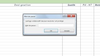 Protéger laccès à un classeur Excel [upl. by Nnyl983]