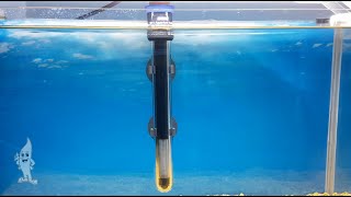 Aquaplantsonline  How to Kalibreren Calibrate Eheim ThermoControl NLEN [upl. by Sirtemed]