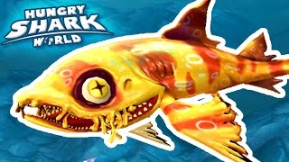 NEW SHARK WOBBEGONG  Hungry Shark World  Ep 37 HD [upl. by Elleoj]