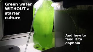 Green Water WITHOUT a Starter Culture  From Scratch  How To [upl. by Relyks950]