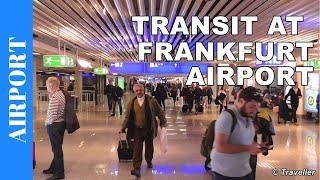 TRANSIT WALK AT FRANKFURT Airport FRA Terminal 1  Connection Flight Transfer Arriving amp Departing [upl. by Aramot463]