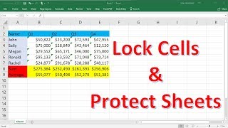 How To Lock Individual Cells and Protect Sheets In Excel [upl. by Heyes]