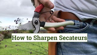 How to sharpen secateurs [upl. by Haneekas846]